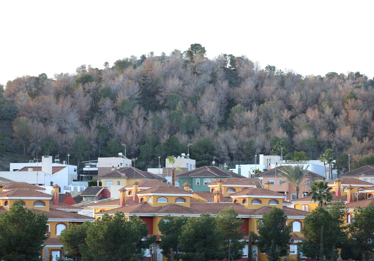 El calentamiento global dispara un 30% el riesgo de incendio forestal y lo extiende fuera del verano