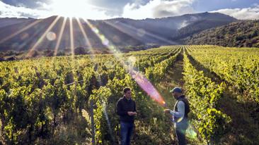 Experiencias en la Región de Murcia