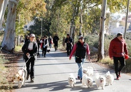 Ruta canina al castillo de Lorca por San Antón