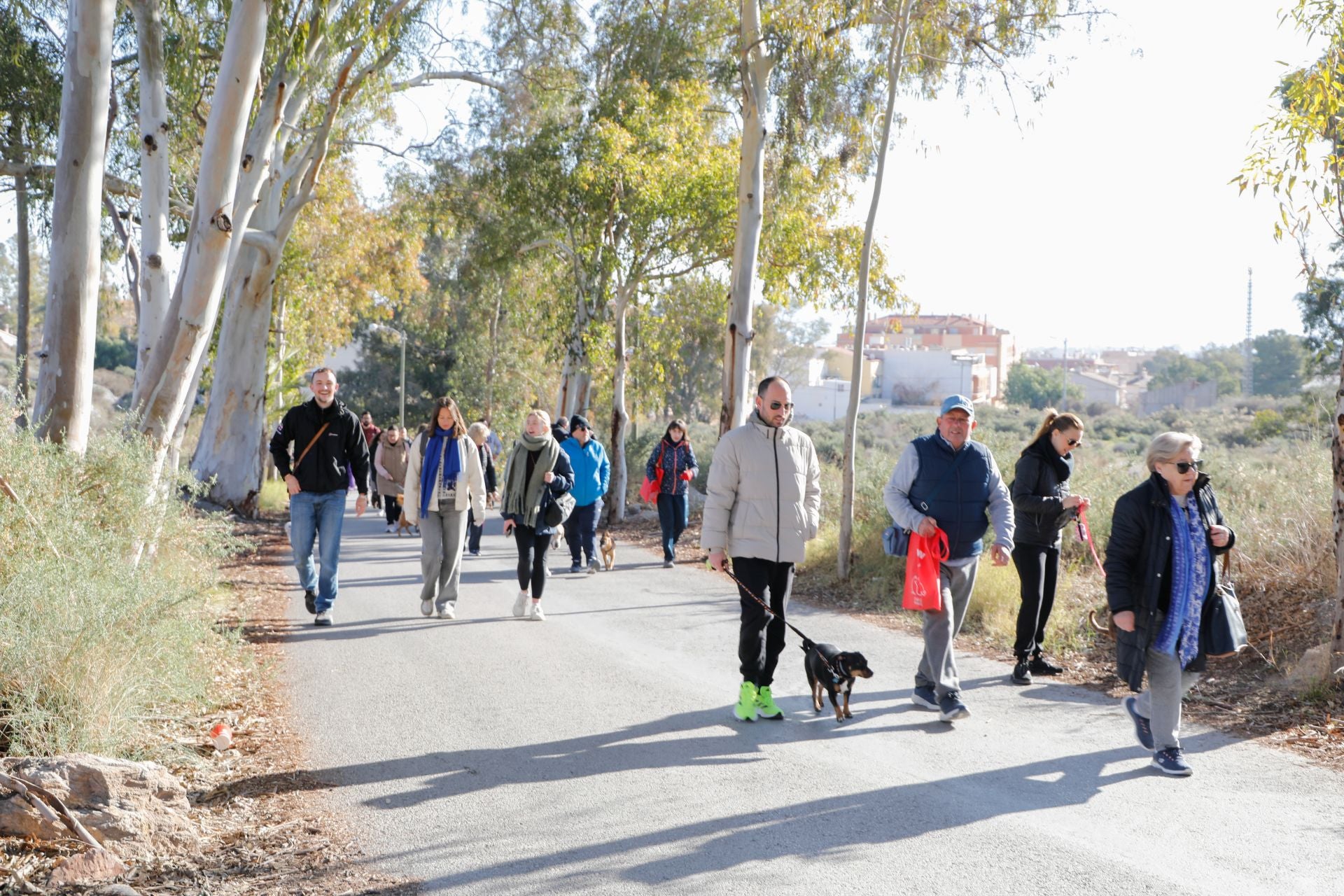 Ruta canina al castillo de Lorca por San Antón