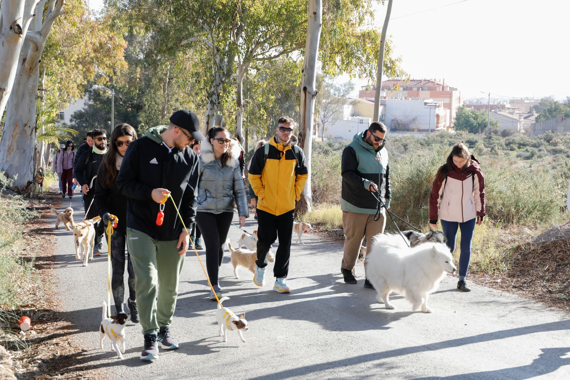 Ruta canina al castillo de Lorca por San Antón