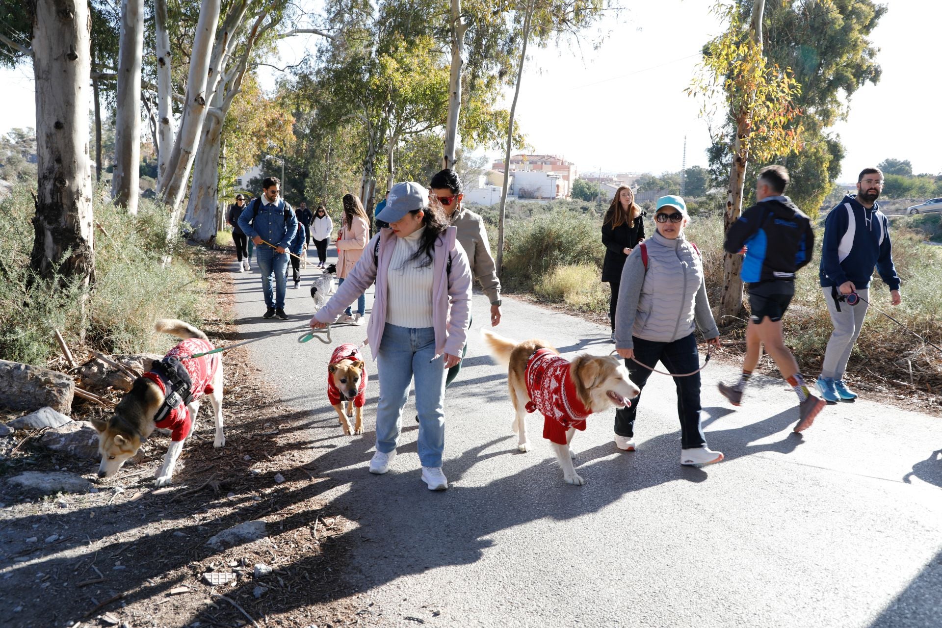 Ruta canina al castillo de Lorca por San Antón