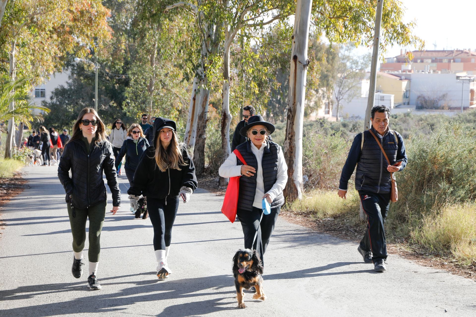 Ruta canina al castillo de Lorca por San Antón