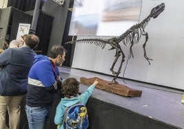 Las familias contemplan una de las muestras de la pasada edición de la Feria de Minerales y Fósiles de La Unión.