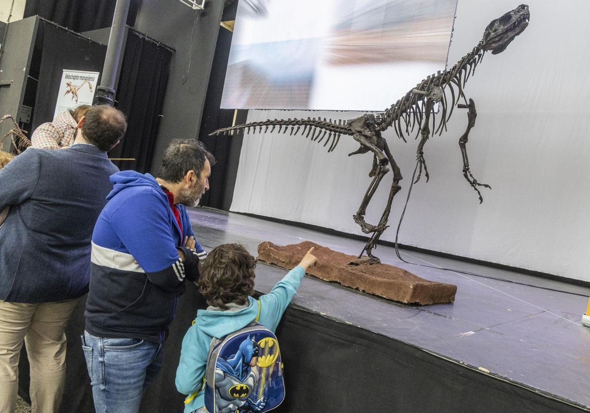 Las familias contemplan una de las muestras de la pasada edición de la Feria de Minerales y Fósiles de La Unión.