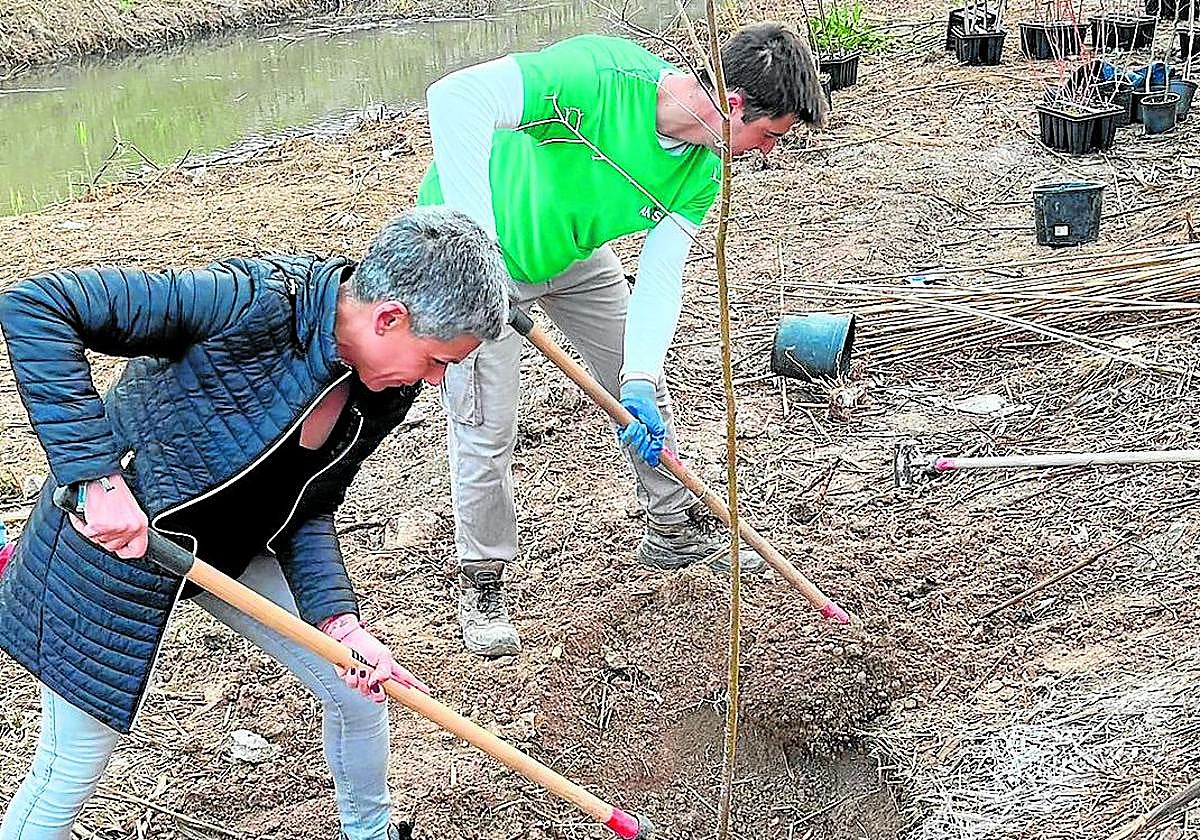 La alcaldesa Morales en el tramo donde se han plantado los ejemplares.
