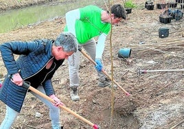 La alcaldesa Morales en el tramo donde se han plantado los ejemplares.