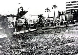 Tapón. Una grúas extraen bardomeras de cañas en el puente frente al actual Auditorio Víctor Villegas.