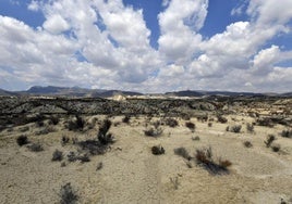 Suelo erosionado en el desierto de Mahoya, en Abanilla.