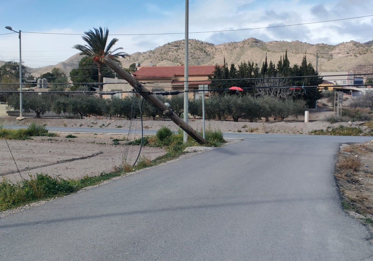 Una palmera volcada y cables sueltos por efecto de las fuertes rachas de viento.