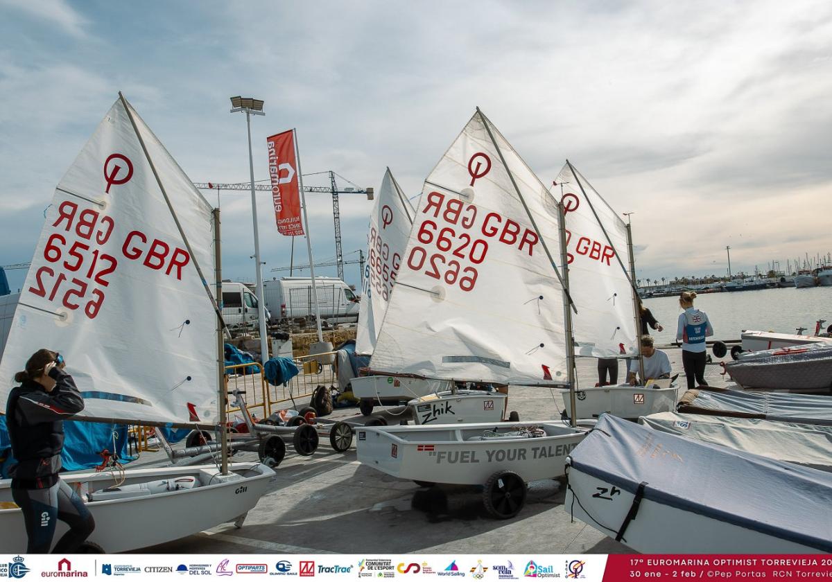 Las embarcaciones preparadas para la competición, ayer en el RCN de Torrevieja.