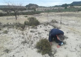 La investigadora Carolina Boix Fayos realizando observaciones en un terreno con suelos degradados.