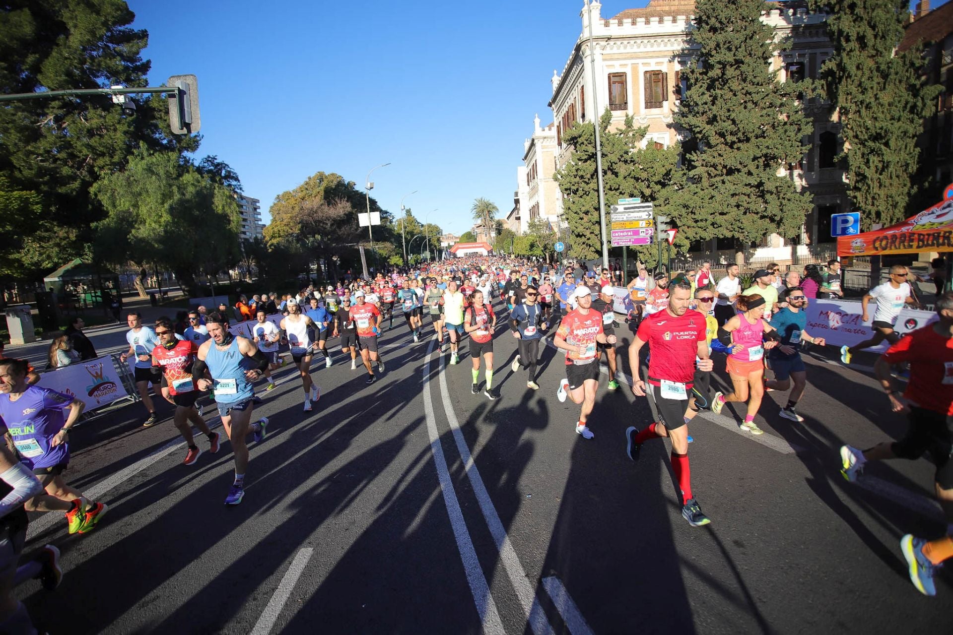 La maratón de Murcia, en imágenes