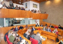 Trabajadoras de Limusa al fondo de la imagen durante la celebración del Pleno de la semana pasada.