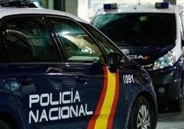 Dos vehículos de la Policía Nacional.