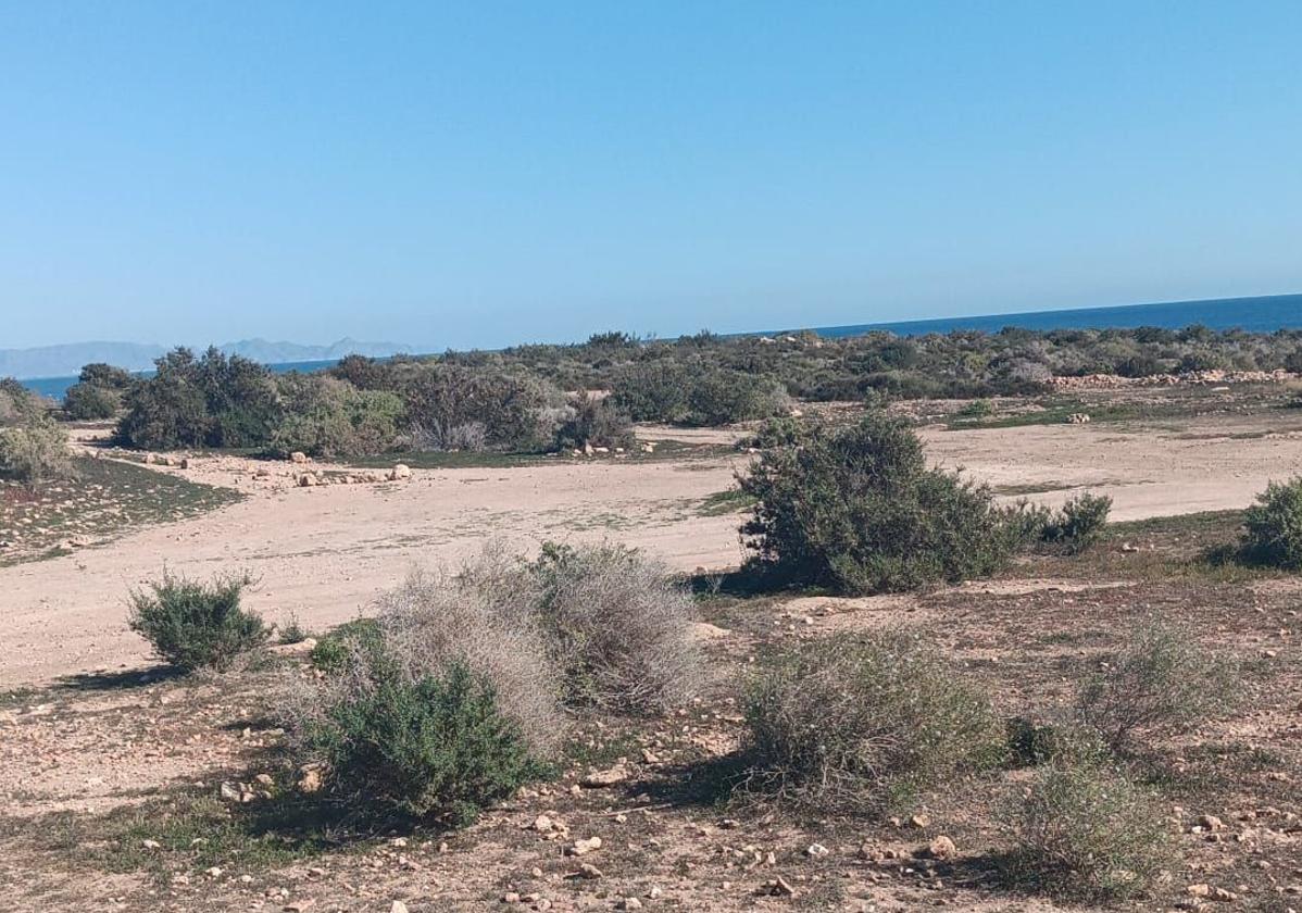 Explanada situada en las inmediaciones de la playa lorquina de Cala Blanca, en el Parque Regional de Calnegre-Cabo Cope