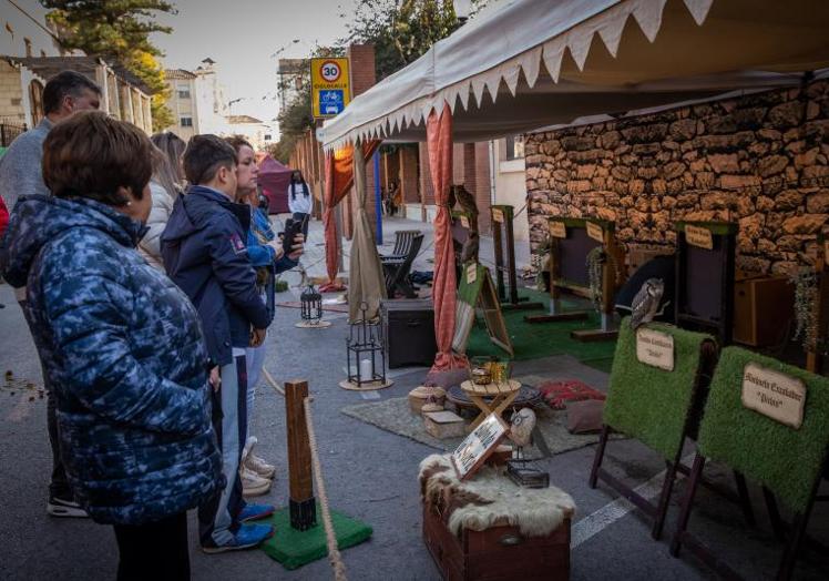 Exposición de cetrería en la pasada edición del Mercado Medieval.