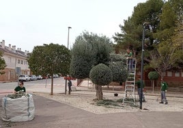 Un programa de jardinería dará trabajo a 14 desempleados en Las Torres de Cotillas