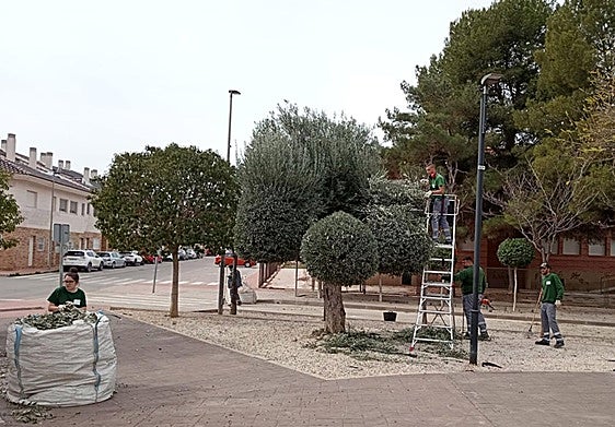 Un programa de jardinería dará trabajo a 14 desempleados en Las Torres de Cotillas