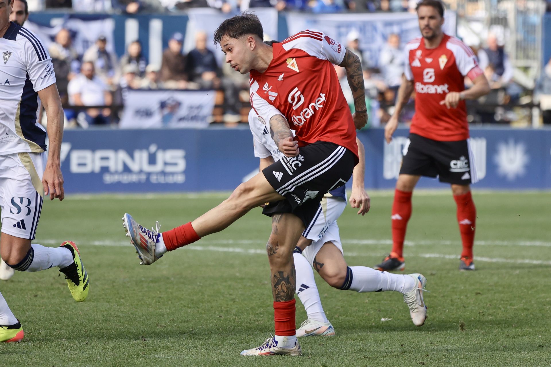 La victoria del Real Murcia frente al Marbella, en imágenes