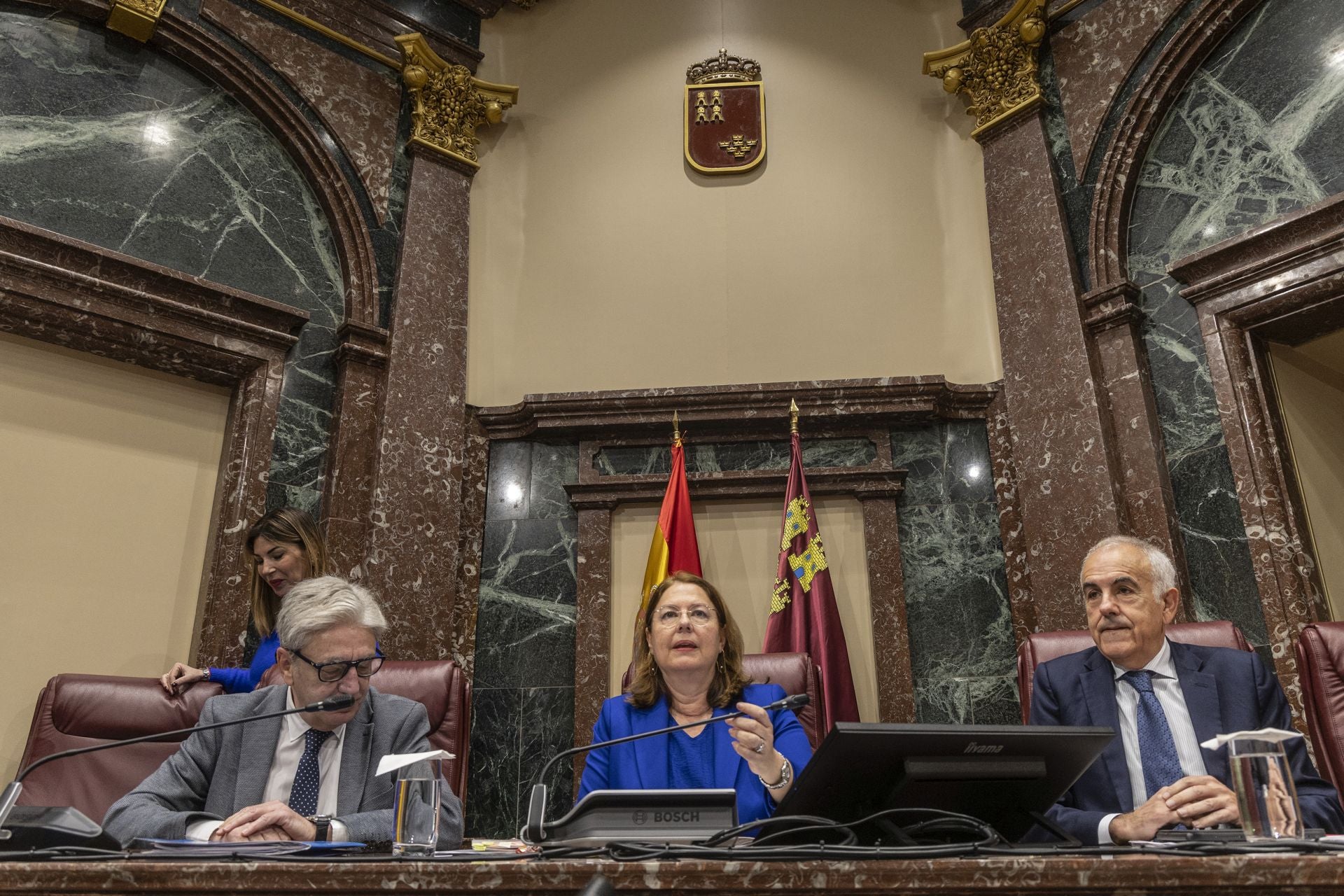 En imágenes, la Asamblea celebra el primer pleno tras su reforma