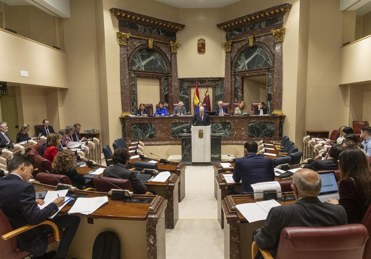 En imágenes, la Asamblea celebra el primer pleno tras su reforma