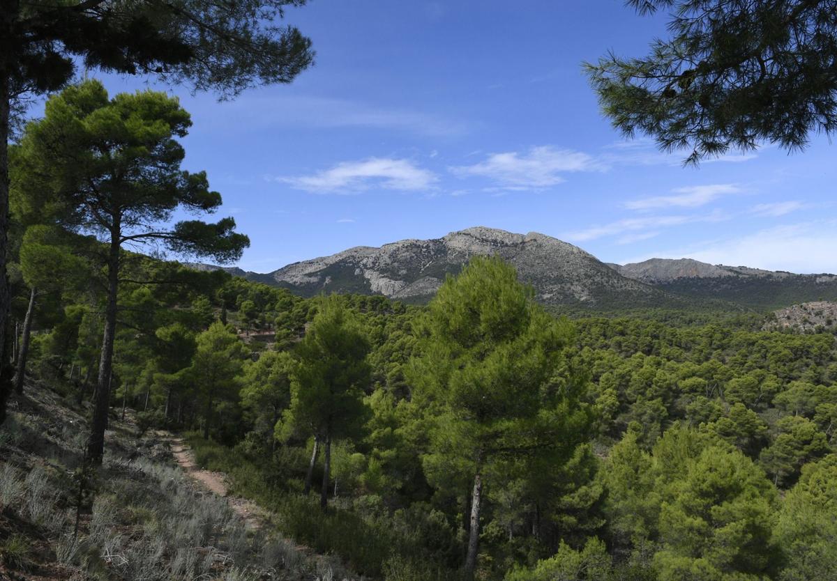 Imagen de archivo de un paraje de Sierra Espuña.