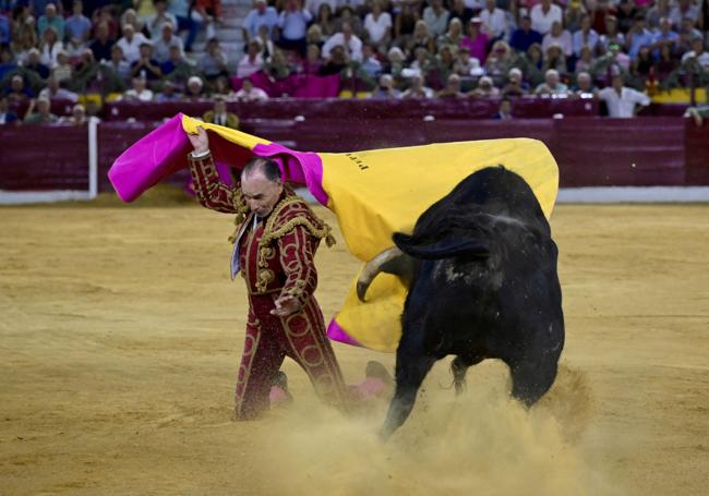 Liria con el capote en la corrida goyesca de Murcia en 2024.