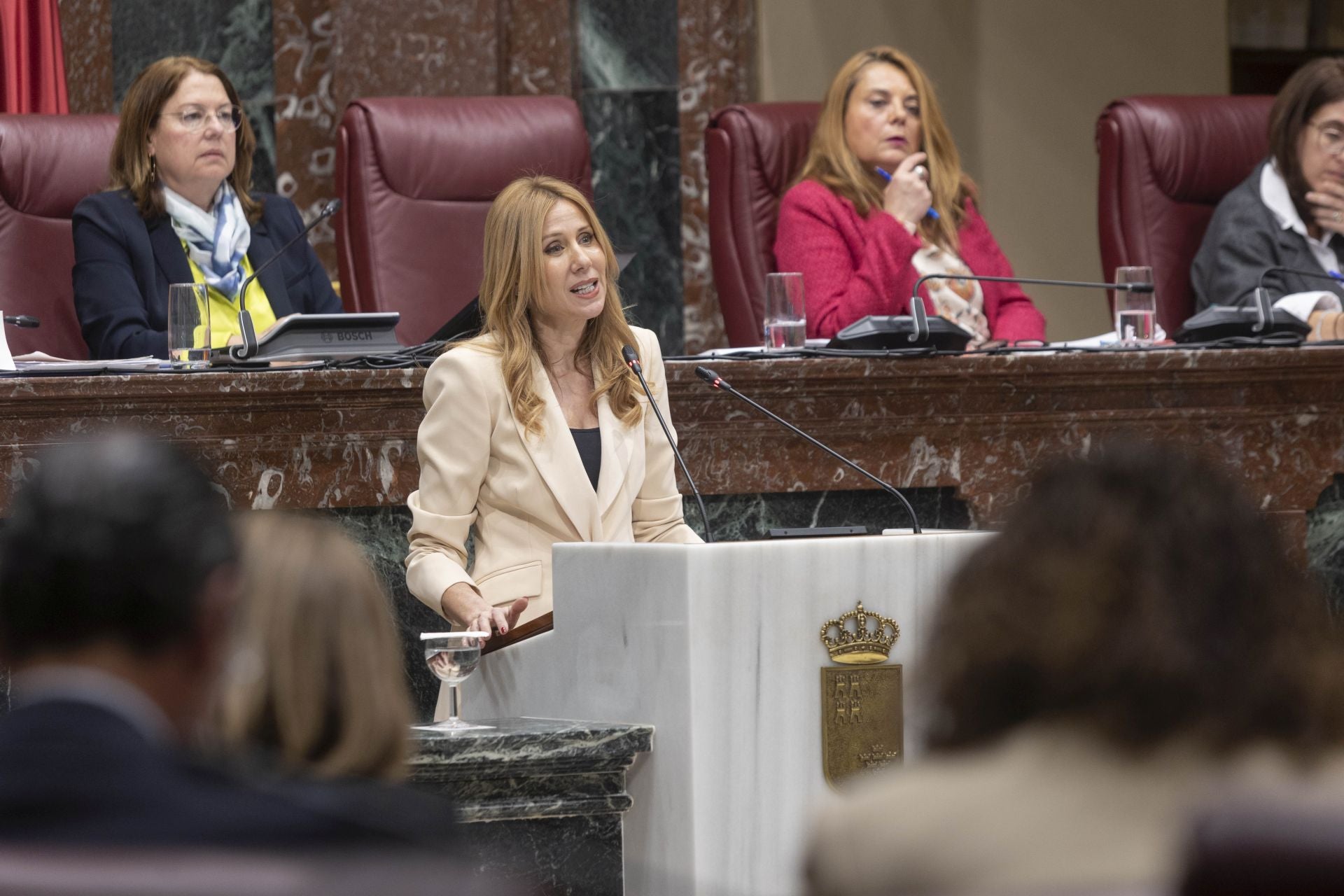 El Pleno de la Asamblea Regional de este viernes, en imágenes