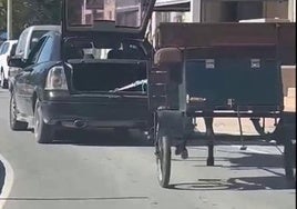 Circula por las calles de San Javier arrastrando un caballo con su carro.