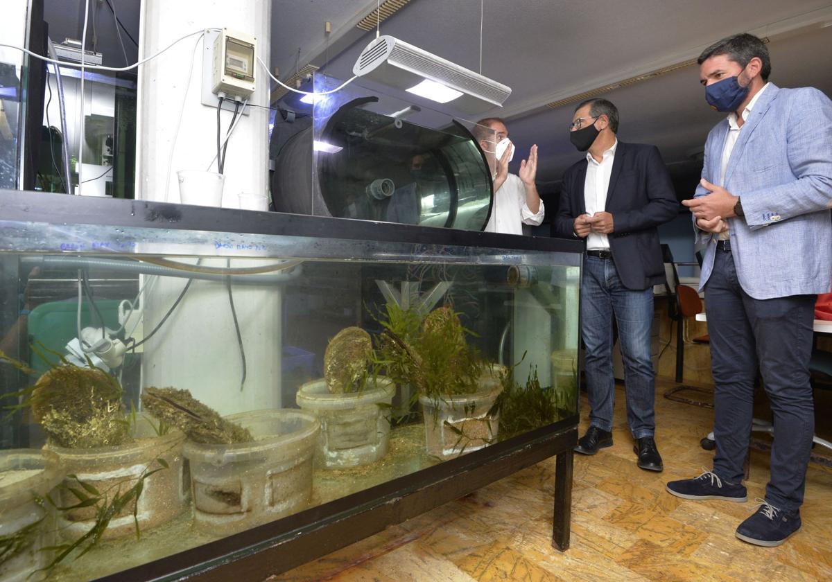 El exconsejero Antonio Luengo (d), durante una visita al acuario de la UMU, en 2020.