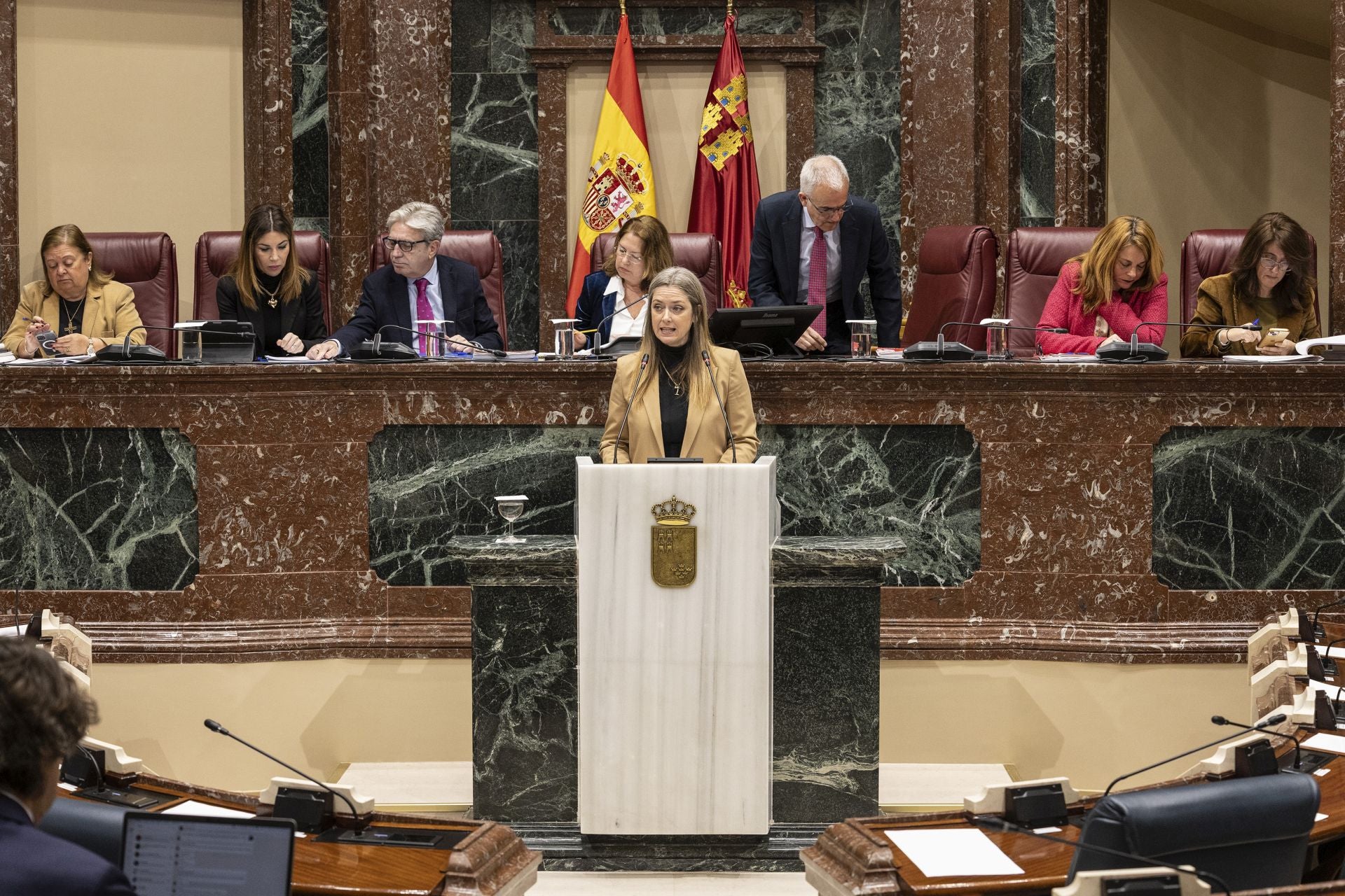 El Pleno de la Asamblea Regional de este martes, en imágenes