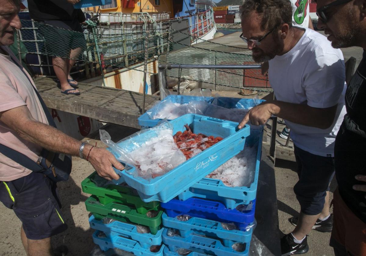 Descarga de bandejas con gamba roja en el puerto pesquero de Cartagena.