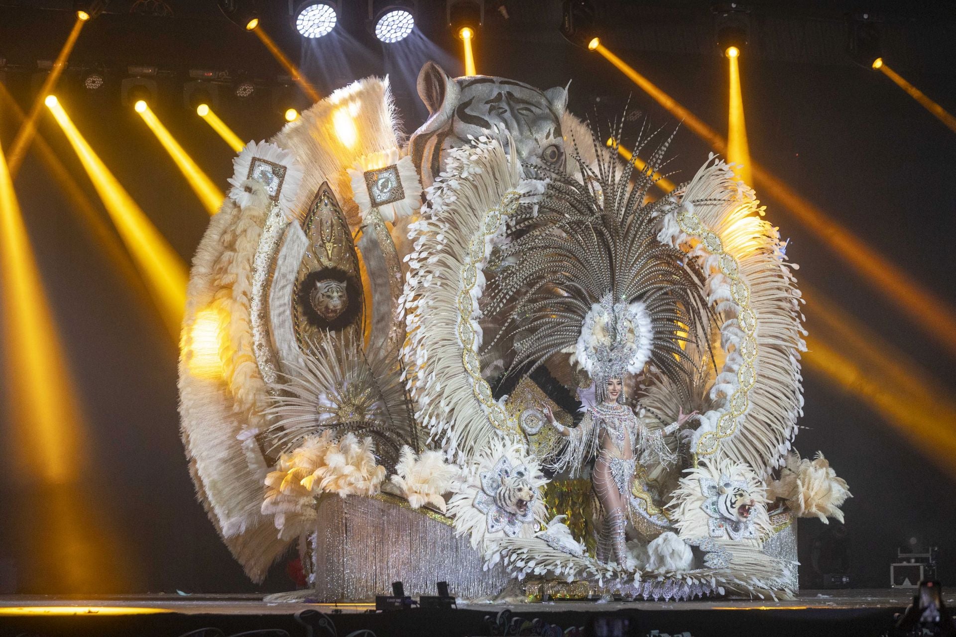 La elección de la reina del Carnaval de Cartagena, en imágenes