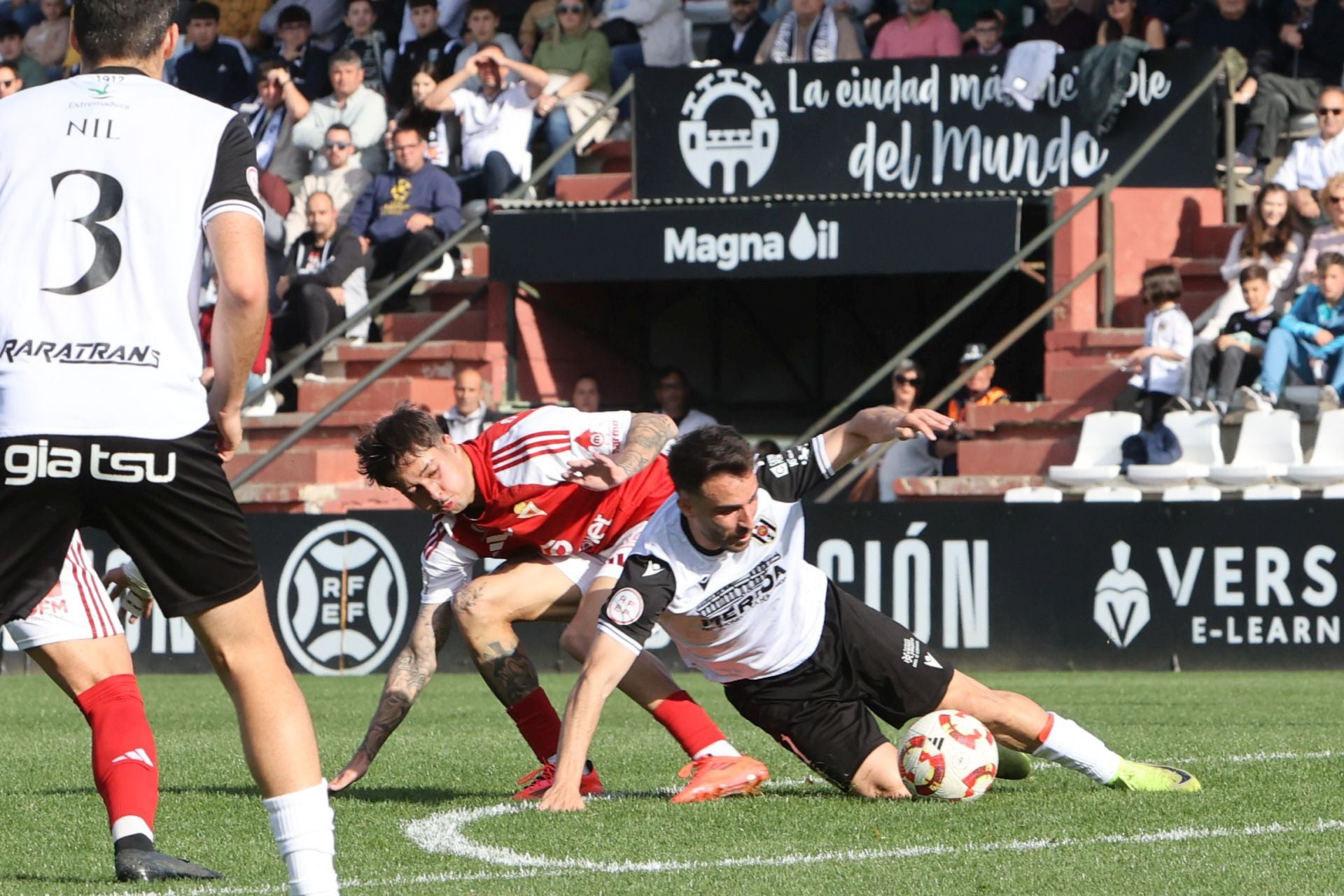 La victoria del Real Murcia frente al Mérida, en imágenes