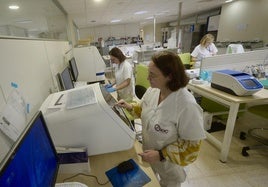 Una profesional analiza muestras en el Centro de Bioquímica y Genética Clínica, en La Arrixaca.