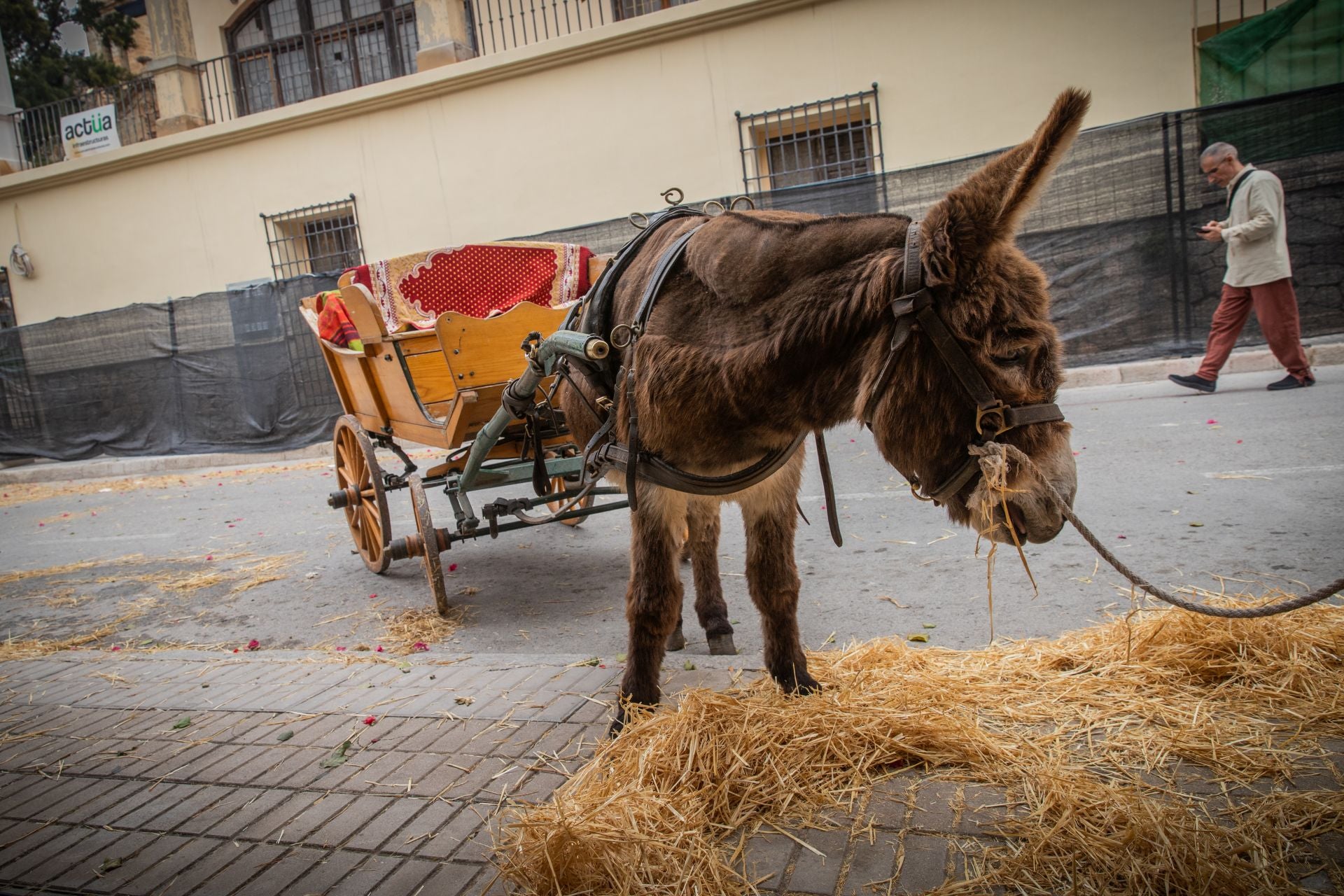 El Mercado Medieval de Orihuela, en imágenes