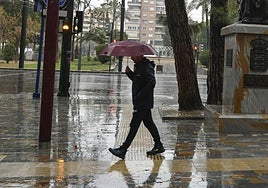 Un hombre, con paraguas, pasea por Murcia.