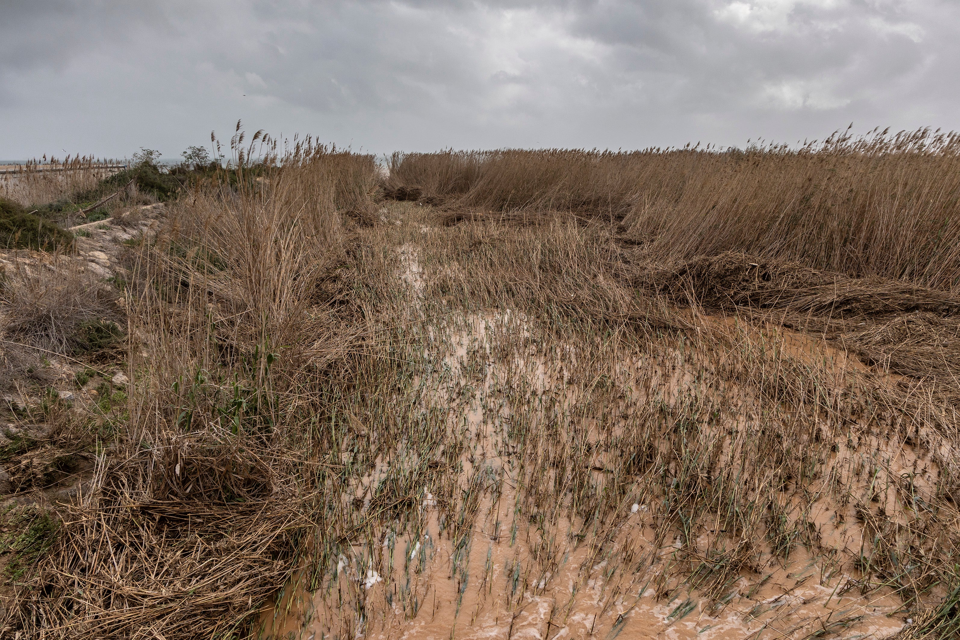 La entrada de agua al Mar Menor a través de la rambla del Albujón, en imágenes