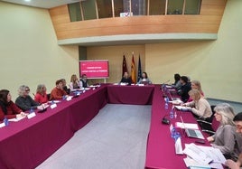 La consejera de Política Social, Familias e Igualdad, Conchita Ruiz, durante la reunión de la Comisión rectora de Lucha contra la Pobreza.