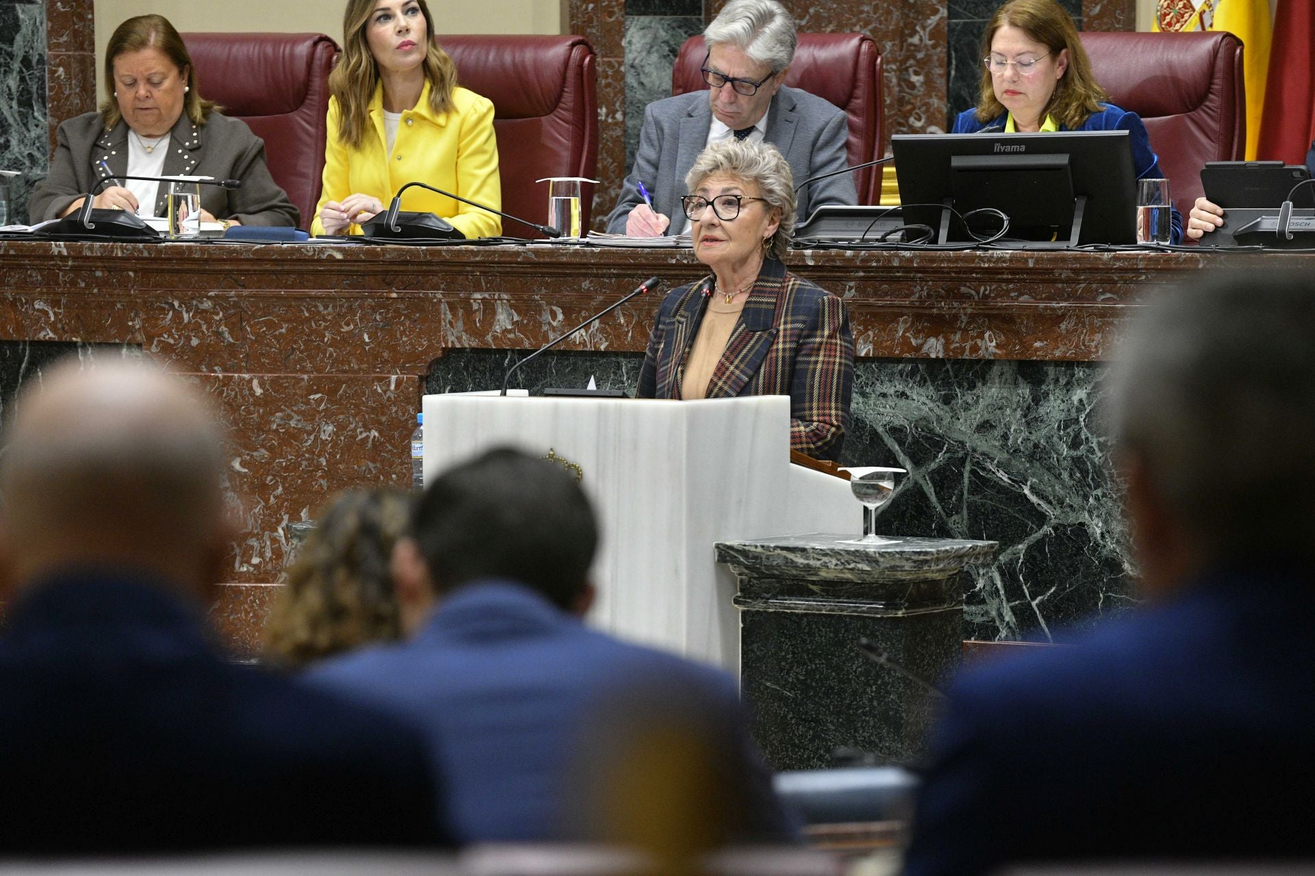 En imágenes, el Pleno de la Asamblea