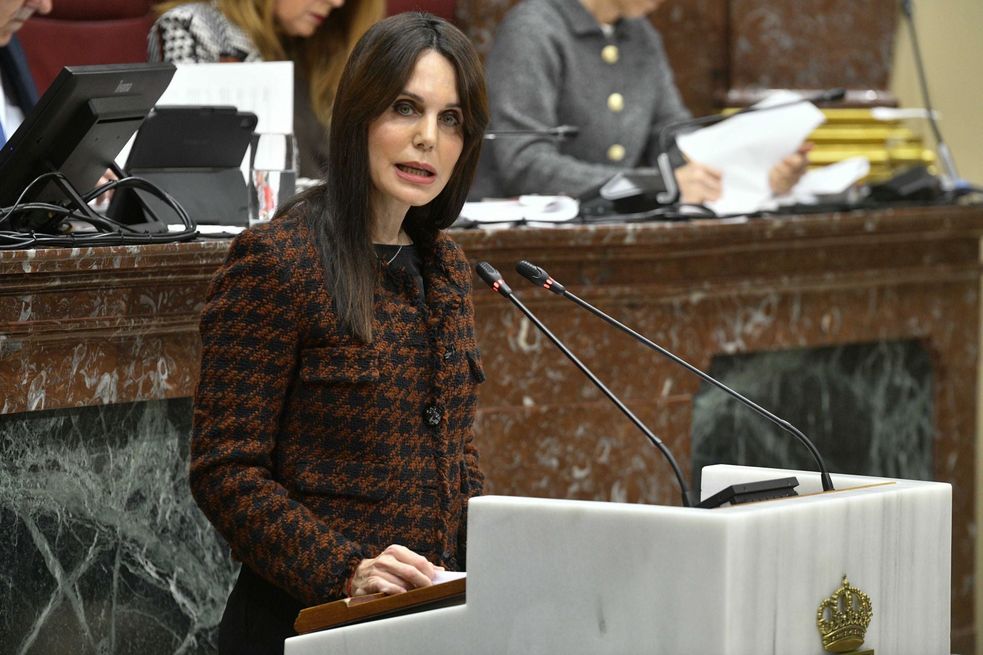 En imágenes, el Pleno de la Asamblea