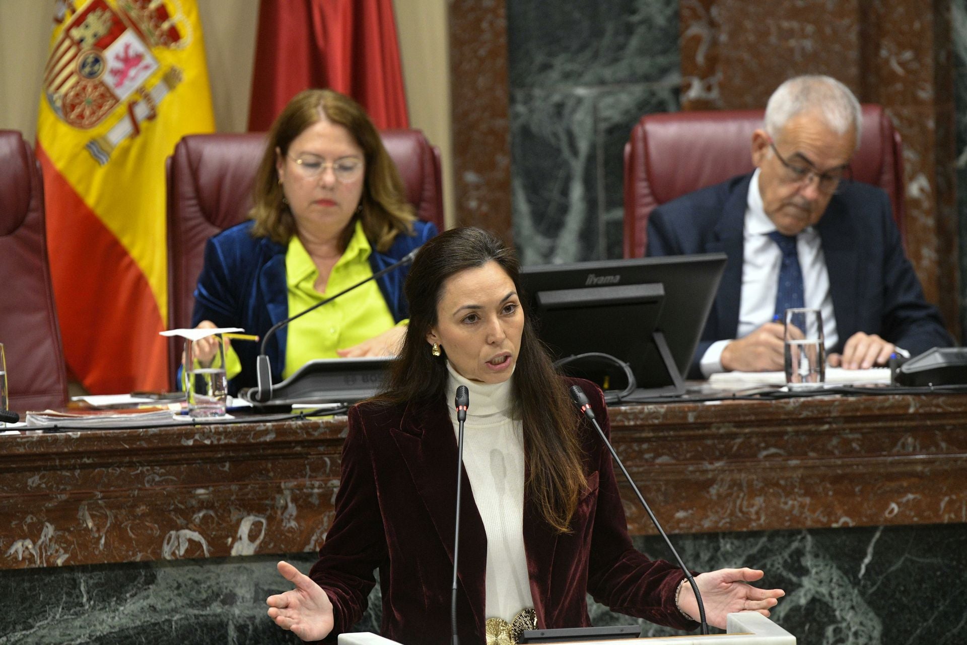 En imágenes, el Pleno de la Asamblea