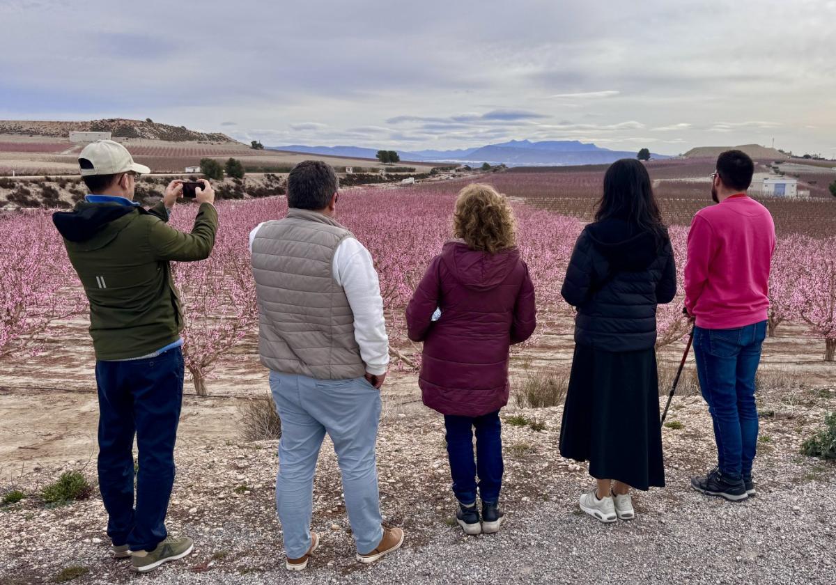 Cinco turistas en una zona de cultivos en flor de Cieza, ayer.