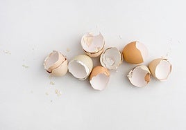 No tires la cáscara de huevo: tres usos que le puedes dar y que probablemente desconocías.