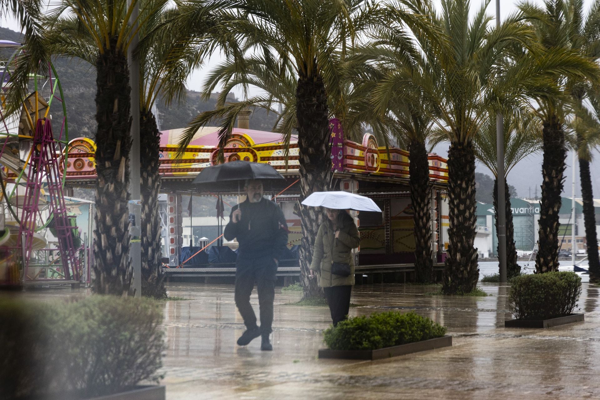 Los efectos del temporal de lluvia en la Región de Murcia, en imágenes