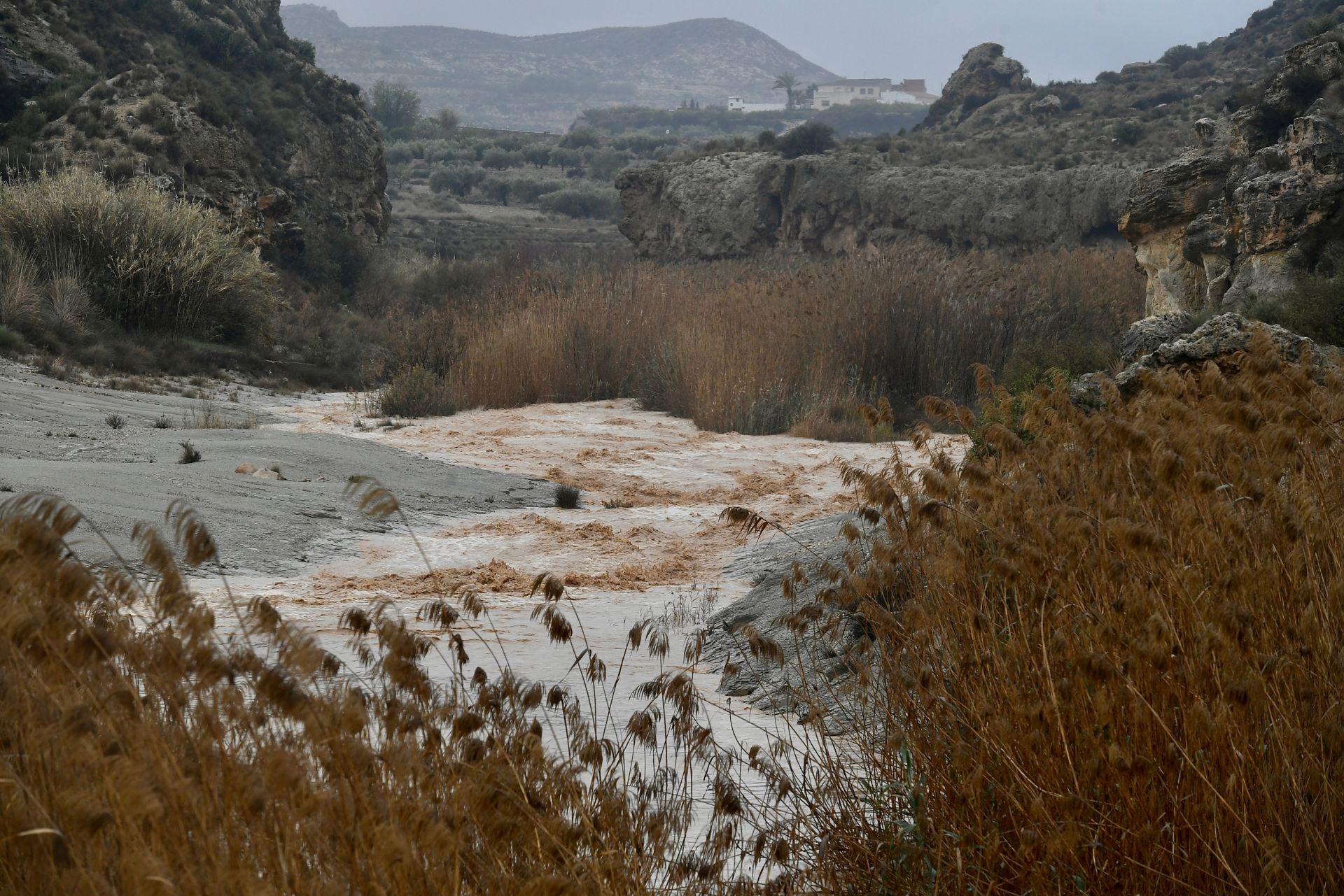 Los efectos del temporal de lluvia en la Región de Murcia, en imágenes