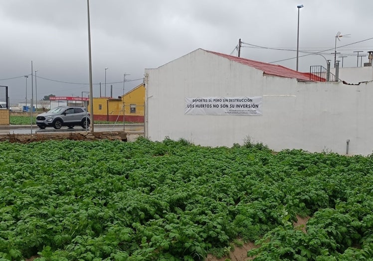 Alrededor de 26 propietarios de viviendas y terrenos se verían afectados por el desalojo