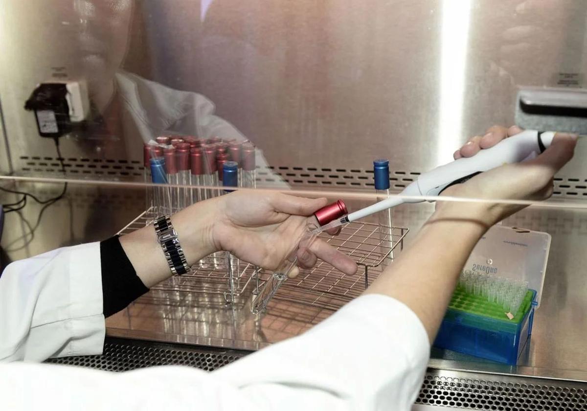 Una alumna hace prácticas en un laboratorio en una imagen de archivo.