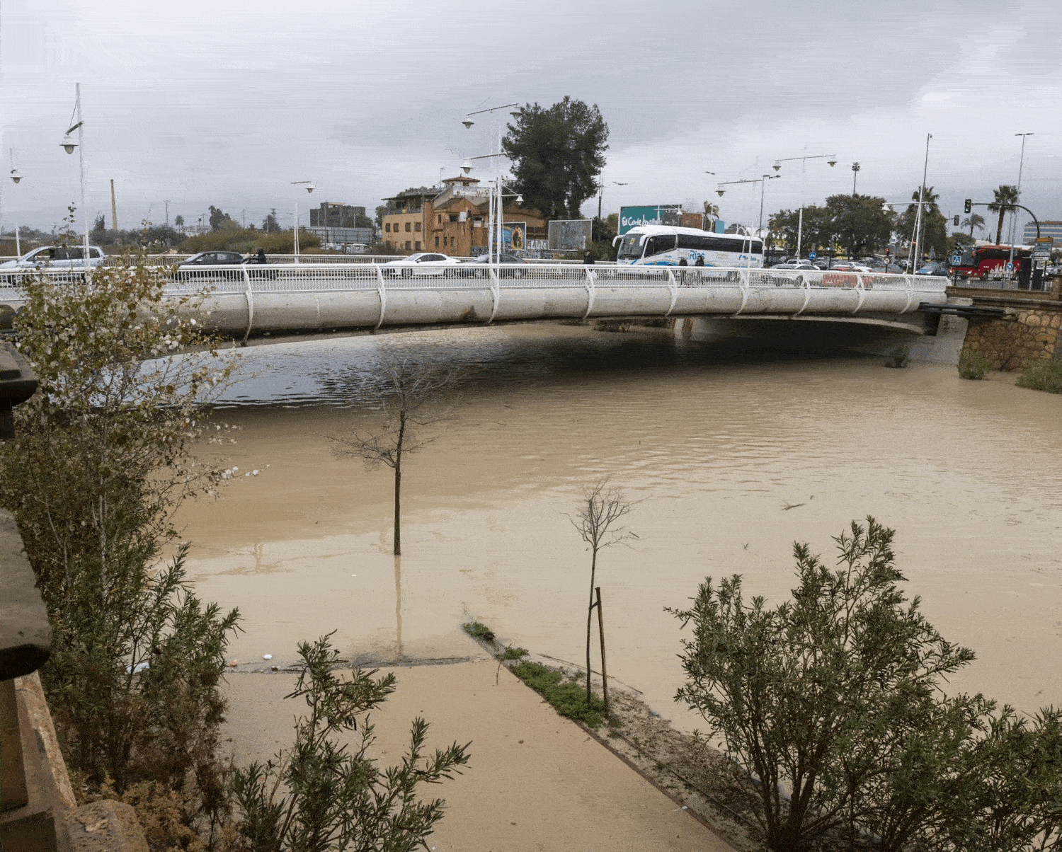 Así hemos contado la última hora de las lluvias por el temporal en la Región de Murcia